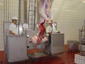 Carcasa de cordero fresca congelada, carne de oveja halal procesada con hueso, con excelente estabilidad en el almacenamiento y lista para exportación. - Product Image 3