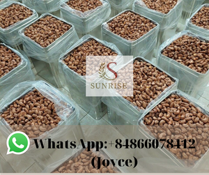 Noyau de noix de cajou grillées W320 Vietnam Grade a Emballé sous vide Durée de conservation de 2 ans (0084866078412-Joyce) - Product Image 6