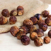 Noix de savon naturelle séchée sans pépins pour la lessive saponines prix le moins cher noix de savon soapberry