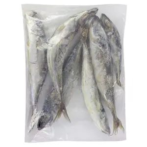 冷凍アジ魚イワシ魚在庫高品質シーフード全魚アジ冷凍太平洋サバ