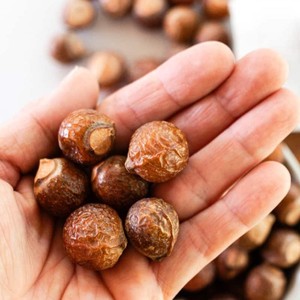 Best Quality Natural Dried Soap Nuts Cleaning Laundry Soapnut Cheapest Price <b>Soapberries</b> for Sale - Product Image 3