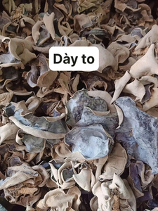 Hongo de la nube (Agaricus blazei) seco de Vietnam, ideal para distribuidores que buscan suministro estable y precios competitivos para exportación. - Product Image 2