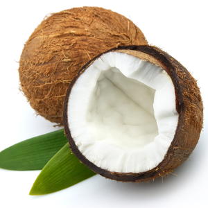 Coco Semi Despulpado Fresco de Granja, Exportador Confiable - Product Image 3