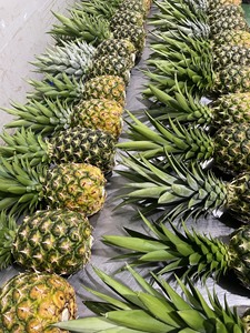<b>Fresh</b> Tropical <b>PINEAPPLE</b> New Crop 2025 QUEEB / ANANAS / ABACAXI Size 1kg Up Available Large Quantities From Vietnam - Product Image 3