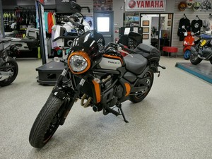 Motocicleta Cruiser Kawasaki EN650LNFNL 2025-2026 de Alto Rendimiento en Venta, Lista para Exportar a Todo el Mundo - Product Image 5