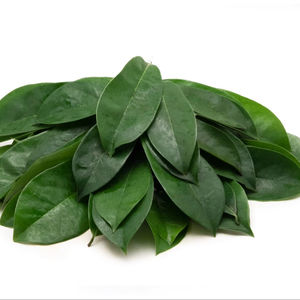 HOJAS SECAS NATURALES DE VIETNAM PARA HACER TÉ, CALIDAD 100% PARA SU SALUD, BUENAS PARA DETOX - Product Image 2