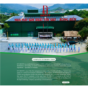 Saludable de Vietnam 105ml DT Soft Sea Grape Jelly Nutritiva Sabor a fresa Snack Bag Popular Listo para comer Producto de algas marinas - Product Image 3