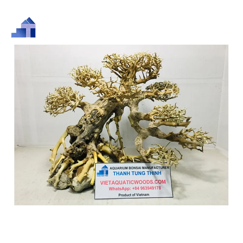 2023 Bois flotté de bonsaï de haute qualité pour la décoration d'aquarium au Vietnam au meilleur prix WhatsApp: + 84 961005832