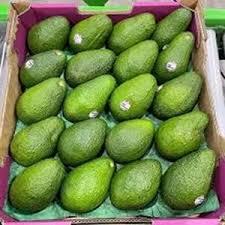 Aguacate Fresco Premium para Exportación con el Mejor Precio y Alto Estándar de Maduración - Product Image 6