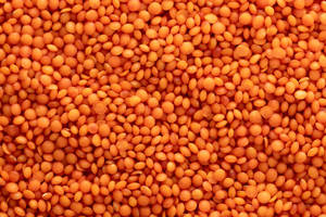 Lentejas rojas indias orgánicas de primera calidad, masoor dal entero y partido, de cosecha nueva, secas, al mejor precio, legumbres a granel, suministro para exportación - Product Image 6