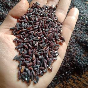 Riz gluant rouge de bonne qualité Standard Export - Product Image 3