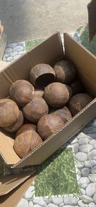 Haute qualité personnalisé rond naturel poli riz roi salade bois noix de coco demi artisanat bol en bois ensemble pour les fêtes en gros - Product Image 6