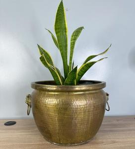 Maceta de latón hecha a mano para centro de sala de estar con diseño duradero y elegante para plantas o flores - Product Image 2