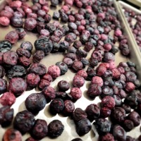 Biologische GMO-vrije zoet smakende premium kwaliteit gedroogde blauwe bessen fruitsnack bulk geconserveerd natuurlijk in watersiroop vacuüm verpakt