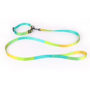 Collar personalizado de la mejor calidad para mascotas, Correa con Material de poliéster brillante, juego de correa ajustable y duradera - Product Image 3