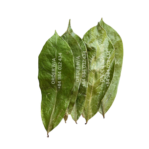 แคปซูลฝรั่งเทศกราเวียโลล่า ผลิตภัณฑ์ธรรมชาติ ขายดี ใบฝรั่งเทศกราเวียโลล่า ใบแห้ง ให้ประโยชน์ต่อสุขภาพ - Product Image 1