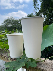Vaso Desechable Ecológico GREEN NEST de Grado Alimenticio, de Pared Simple, para Bebidas Calientes, Cafeterías, Uso para Llevar, con Logotipo Personalizado - Product Image 5