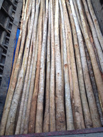 Bûches de bois d'eucalyptus brut de bonne qualité Bûches de bois brutes rondes et carrées Exportation en vrac au prix de gros