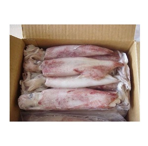 Calamar Duvauceli Congelado - Compra al por Mayor de Calamar Duvauceli para Procesamiento de Alimentos - Product Image 1