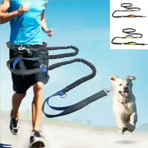 Laisse pour chien réfléchissante en nylon - Product Image 1
