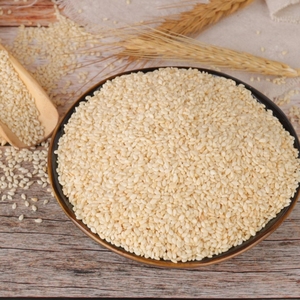 Semillas de Sésamo Sin Cáscara de Primera Calidad VG Limited, Vida Útil de 24 Meses para Panadería y Confitería - Product Image 1
