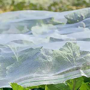 HDPE 50 <strong>Mesh</strong> Anti Insect <strong>Net</strong> Roll Custom Cut for Agriculture Vegetable Garden Insect <strong>Net</strong> - Product Image 1
