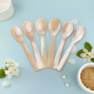 Cuillère élégante en nacre, cuillère à caviar en nacre pour l'hôtellerie, les événements de restauration et les maisons de luxe, cuillère écologique de petite taille - Product Image 6