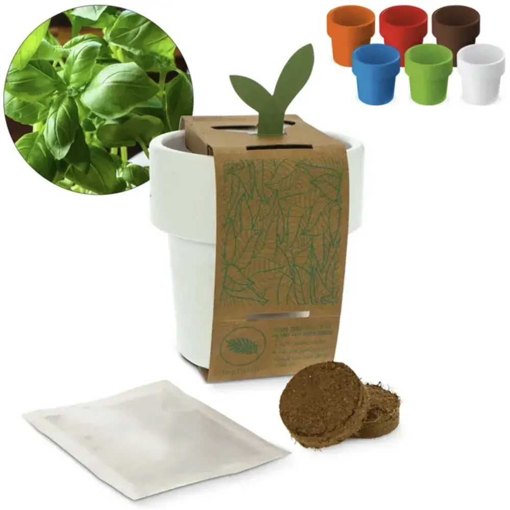 ขาว, ส้ม, ฟ้า, ดำ, แดง, น้ำตาล