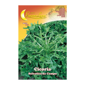 SEMI DI CICORIA SELVATICA - Product Image 1