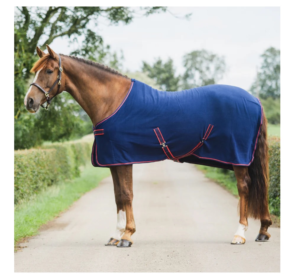 Tapis De Voyage Masta Pour Cheval – Taille 7'6 Bleu Marine – Neuf