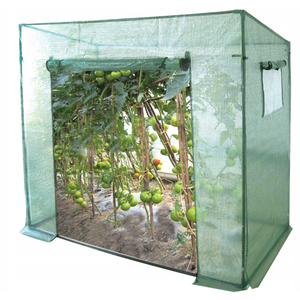 Serre de jardin en PVC, tunnel en film, tente pour la croissance des plantes d'intérieur, facile à assembler, structure en bois et en acier pour les plants de tomates et de légumes - Product Image 4