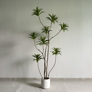 ต้นดราซีน่าประดิษฐ์-วัสดุ PE ทันสมัย สำหรับตกแต่งภายใน/ภายนอกอาคาร ใบเรียว ขนาด 120/150/180 ซม. (มีจำหน่ายขนาด 210 ซม.) - Product Image 4