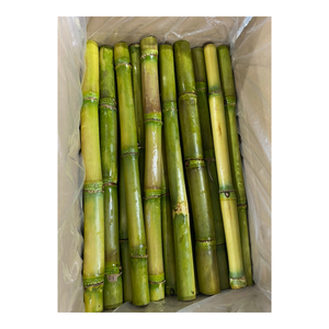 แท่งอ้อยแช่แข็งรสหวานเพื่อความสดใหม่ได้อย่างรวดเร็วรสชาติและกลิ่นหอมที่ดีสำหรับการคั้นน้ำและการใช้เครื่องดื่ม - Product Image 3