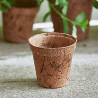 Pots de germination biodégradables en fibre de coco, design classique, pour semis et jeunes pousses, utilisation au sol en pépinière