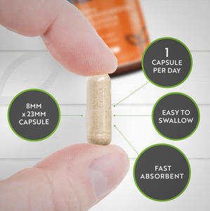 كبسولات عالية الجودة من أشواغاندا العضوية ، منشار أشواغاندا بالميتو لتكملة كبسولات أشواغاندا للبالغين - Product Image 3