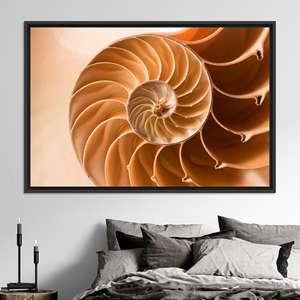 Impresión en lienzo de concha de Nautilus con proporción áurea: arte natural elegante, lienzo con marco negro - Product Image 1