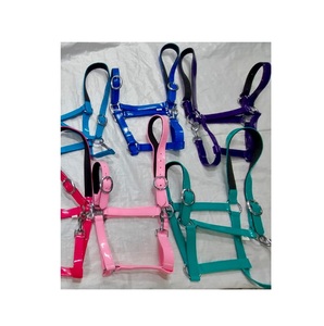 Premium Quality Durable Different Color Nylon Horse <b>Halter</b> For Horses Customized Size & Color Available Wholesale Manufacturers - Product Image 1
