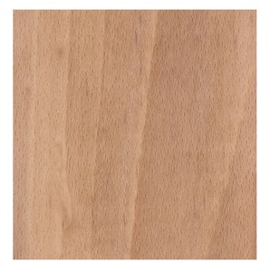 Madera de haya europea duradera en venta a precios económicos para la fabricación de muebles e industrias forestales - Product Image 4