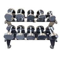 Mancuernas de Acero Unisex de Alta Calidad para Uso Comercial en Gimnasios, Cromadas Electrolíticamente, Pesas Libres a Bajo Precio, GALAXY MASTER