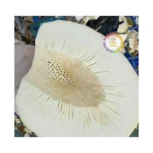 ผลไม้เมืองร้อนพรีเมี่ยมสำหรับปั่นเบเกอรี่และส่งออก - Product Image 4