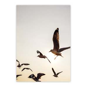Modern Style Seagulls Art Print DIN <b>A3</b> <b>Paper</b> Design - Product Image 1