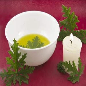 Best Price Cistus Essential <b>Oil</b> Pure 10ml/30ml/200ml <b>Bottle</b> Moisturizing and Nourishing Skin COA Certified Made From Leaves - Product Image 3