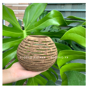 Porte-bougie en forme de coquille de noix de coco, artisanat naturel, conception personnalisée, Logo de Eco2go Vietnam, vente en gros - Product Image 2