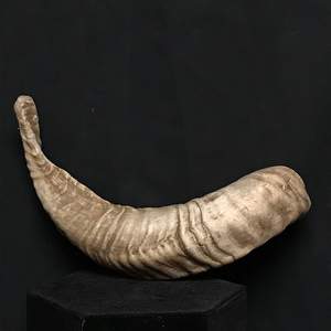Cuerno de Shofar pulido con diseño de pez, decoración del hogar, cuerno de carnero, cuerno para beber, estilo de pez pintado para ungir en venta - Product Image 5