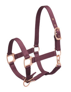 Les plus vendus des licous en nylon durable en cuir de meilleure qualité fabriqués en Inde au meilleur prix fournisseur en gros - Product Image 5