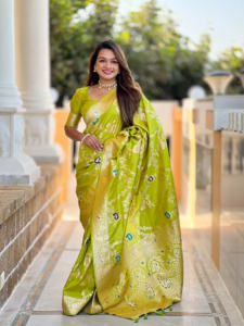 Beau Saree avec bordure tissée Meenakari - Product Image 5