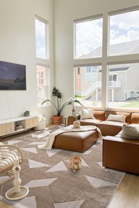 Modern Thick Beige Plush Microfiber <b>Carpet</b> Modern Scandinavian Style Living Room Handtuft Technique for Indoor <b>Outdoor</b> Use - Product Image 3