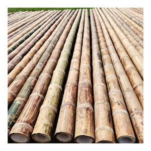 Poteau en bambou droit/poteau en bambou traité de nature/matière première pour la construction et le jardin d'origine du Vietnam en bambou - Product Image 2