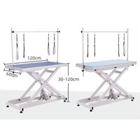 Table de toilettage électrique pour animaux de compagnie Table de coiffure pour chiens avec lumière LED Table de toilettage vétérinaire