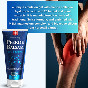 SwissMedicus 200ml Pferdebalsam Gel Collagène Refroidissement Corps Application pour Système Musculo-Squelettique Beauté Produit de Soins Personnels - Product Image 3